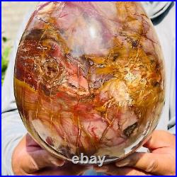 8280g Large Natural Red Petrified Wood Fossil Crystal Egg Specimen