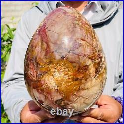 8280g Large Natural Red Petrified Wood Fossil Crystal Egg Specimen