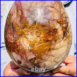 8280g Large Natural Red Petrified Wood Fossil Crystal Egg Specimen