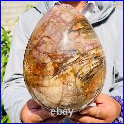 8280g Large Natural Red Petrified Wood Fossil Crystal Egg Specimen