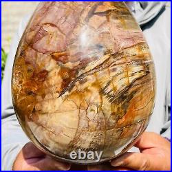 8280g Large Natural Red Petrified Wood Fossil Crystal Egg Specimen