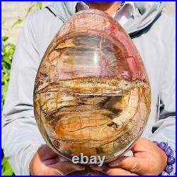 8280g Large Natural Red Petrified Wood Fossil Crystal Egg Specimen