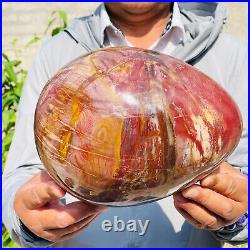 8280g Large Natural Red Petrified Wood Fossil Crystal Egg Specimen