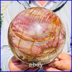 8280g Large Natural Red Petrified Wood Fossil Crystal Egg Specimen