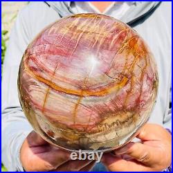 8280g Large Natural Red Petrified Wood Fossil Crystal Egg Specimen