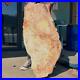 83_78LB_Huge_Sliced_Petrified_Wood_Tan_Bark_Natural_Fossil_Mineral_Specime_01_who