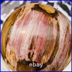 875g Large Natural Petrified Wood Crystal Fossil Geodes Sphere Specimen