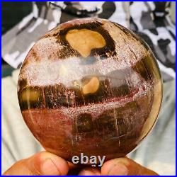 875g Large Natural Petrified Wood Crystal Fossil Geodes Sphere Specimen