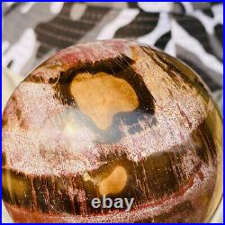 875g Large Natural Petrified Wood Crystal Fossil Geodes Sphere Specimen