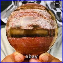 875g Large Natural Petrified Wood Crystal Fossil Geodes Sphere Specimen