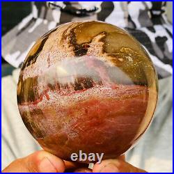 875g Large Natural Petrified Wood Crystal Fossil Geodes Sphere Specimen