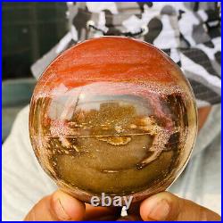 875g Large Natural Petrified Wood Crystal Fossil Geodes Sphere Specimen