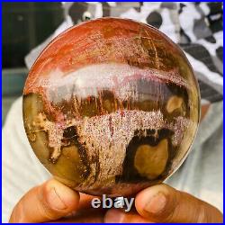 875g Large Natural Petrified Wood Crystal Fossil Geodes Sphere Specimen