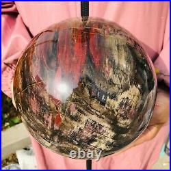 8840g Natural Petrified Wood Crystal Ball Fossil Polished Sphere Specimen Y523