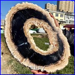 8LB Large Natural Petrified Wood Crystal Fossil Slice Shape Specimen Healing 8LB Large Natural Petrified Wood Crystal Fossil Slice Shape Specimen Healing