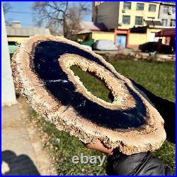 8LB Large Natural Petrified Wood Crystal Fossil Slice Shape Specimen Healing 8LB Large Natural Petrified Wood Crystal Fossil Slice Shape Specimen Healing