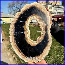 8LB Large Natural Petrified Wood Crystal Fossil Slice Shape Specimen Healing 8LB Large Natural Petrified Wood Crystal Fossil Slice Shape Specimen Healing