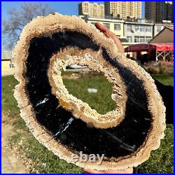 8LB Large Natural Petrified Wood Crystal Fossil Slice Shape Specimen Healing 8LB Large Natural Petrified Wood Crystal Fossil Slice Shape Specimen Healing