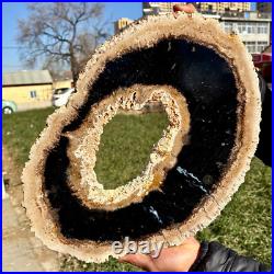 8LB Large Natural Petrified Wood Crystal Fossil Slice Shape Specimen Healing 8LB Large Natural Petrified Wood Crystal Fossil Slice Shape Specimen Healing