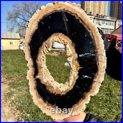 8LB Large Natural Petrified Wood Crystal Fossil Slice Shape Specimen Healing 8LB Large Natural Petrified Wood Crystal Fossil Slice Shape Specimen Healing