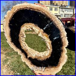 8LB Large Natural Petrified Wood Crystal Fossil Slice Shape Specimen Healing 8LB Large Natural Petrified Wood Crystal Fossil Slice Shape Specimen Healing