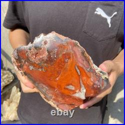 8.1LB Natural petrified wood rough Wood fossil mineral specimen healing energy 8.1LB Natural petrified wood rough Wood fossil mineral specimen healing energy