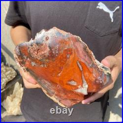 8.1LB Natural petrified wood rough Wood fossil mineral specimen healing energy 8.1LB Natural petrified wood rough Wood fossil mineral specimen healing energy