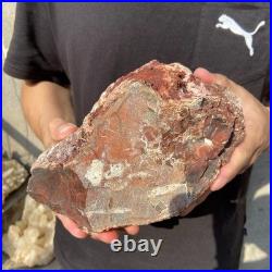 8.1LB Natural petrified wood rough Wood fossil mineral specimen healing energy 8.1LB Natural petrified wood rough Wood fossil mineral specimen healing energy