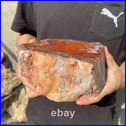 8.1LB Natural petrified wood rough Wood fossil mineral specimen healing energy 8.1LB Natural petrified wood rough Wood fossil mineral specimen healing energy