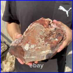 8.1LB Natural petrified wood rough Wood fossil mineral specimen healing energy 8.1LB Natural petrified wood rough Wood fossil mineral specimen healing energy