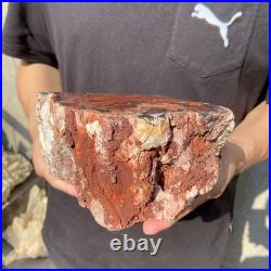 8.1LB Natural petrified wood rough Wood fossil mineral specimen healing energy 8.1LB Natural petrified wood rough Wood fossil mineral specimen healing energy