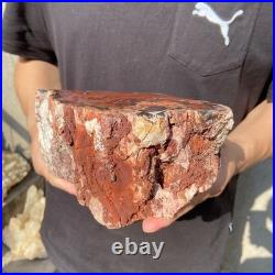 8.1LB Natural petrified wood rough Wood fossil mineral specimen healing energy 8.1LB Natural petrified wood rough Wood fossil mineral specimen healing energy