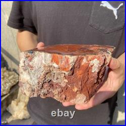 8.1LB Natural petrified wood rough Wood fossil mineral specimen healing energy 8.1LB Natural petrified wood rough Wood fossil mineral specimen healing energy