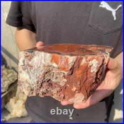 8.1LB Natural petrified wood rough Wood fossil mineral specimen healing energy 8.1LB Natural petrified wood rough Wood fossil mineral specimen healing energy
