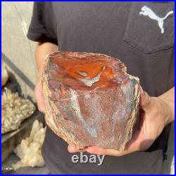 8.1LB Natural petrified wood rough Wood fossil mineral specimen healing energy 8.1LB Natural petrified wood rough Wood fossil mineral specimen healing energy