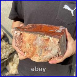 8.1LB Natural petrified wood rough Wood fossil mineral specimen healing energy 8.1LB Natural petrified wood rough Wood fossil mineral specimen healing energy