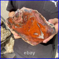 8.1LB Natural petrified wood rough Wood fossil mineral specimen healing energy 8.1LB Natural petrified wood rough Wood fossil mineral specimen healing energy