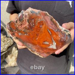 8.1LB Natural petrified wood rough Wood fossil mineral specimen healing energy 8.1LB Natural petrified wood rough Wood fossil mineral specimen healing energy