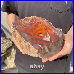 8.1LB Natural petrified wood rough Wood fossil mineral specimen healing energy 8.1LB Natural petrified wood rough Wood fossil mineral specimen healing energy