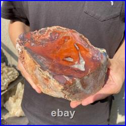 8.1LB Natural petrified wood rough Wood fossil mineral specimen healing energy 8.1LB Natural petrified wood rough Wood fossil mineral specimen healing energy