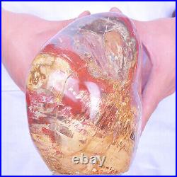 8.24LB Natural petrified wood Fossil quartz crystal Mineral Specimens healing