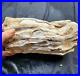 8_24_lbs_3_74_kg_Petrified_Wood_Fossil_Wood_Fossilized_Wood_Petrified_Log_01_pej