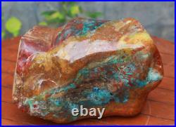 8.2 Kgs Rare Fossil Petrified Wood Stone Decoration Ornament