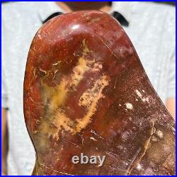 8.36LB Natural Fossil Petrified Wood Polished Freeform Crystal Mineral Healing