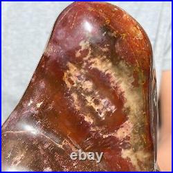 8.36LB Natural Fossil Petrified Wood Polished Freeform Crystal Mineral Healing