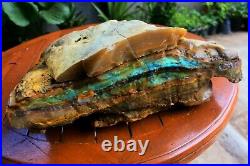 8,3KG Super Rare Petrified Wood with Blue Opal Stone Indonesian Mineral Specimen