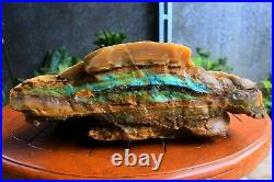 8,3KG Super Rare Petrified Wood with Blue Opal Stone Indonesian Mineral Specimen