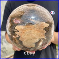 8.3lb Natural Petrified Wood fossil Quartz sphere Crystal Ball specimen Healing