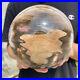 8_3lb_Natural_Petrified_Wood_fossil_Quartz_sphere_Crystal_Ball_specimen_Healing_01_zu