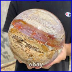 8.3lb Natural Petrified Wood fossil Quartz sphere Crystal Ball specimen Healing